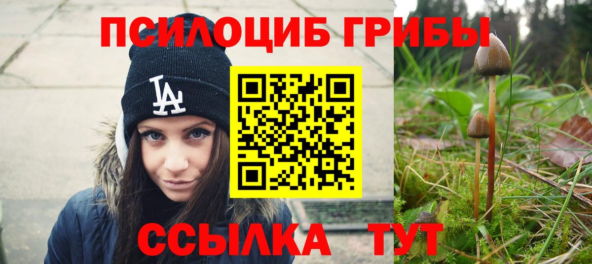 Галлюциногенные грибы Psilocybe  Вход с VPN  наркотики  Сарапул 